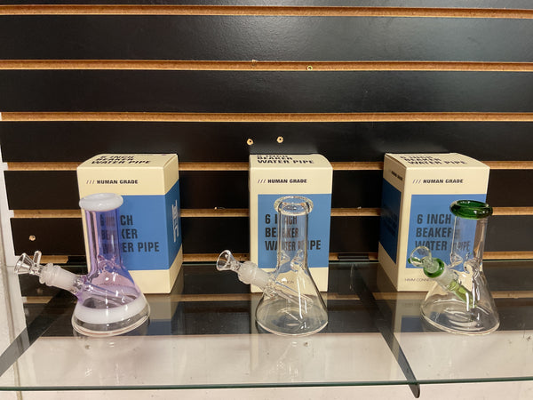 Human Grade 6” Beaker